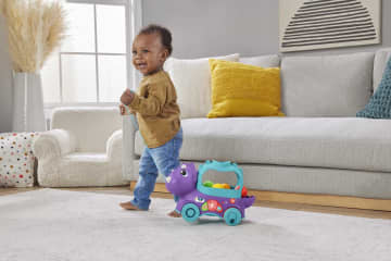 Fisher-Price Triceratops Ruiditos