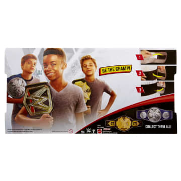 WWE Championship - Image 6 of 6