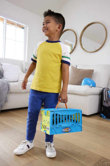 Hot Wheels Monstertrucks Mega-Wrex Crashkooi Speelset