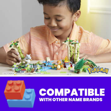 MEGA Pokémon Forgotten Ruins