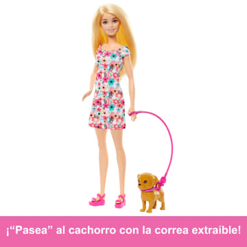 Barbie Paseadora De Perro Con Silla De Ruedas