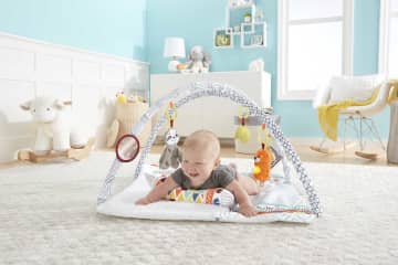 Fisher-Price® Perfect Sense Delüks Jimnastik Merkezi