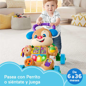 Juguete Electrónico Para Bebés Laugh & Learn De Fisher-Price, Andador Perrito Primeros Pasos De Laugh & Learn Con Smart Stages, Edición Multilingüe
