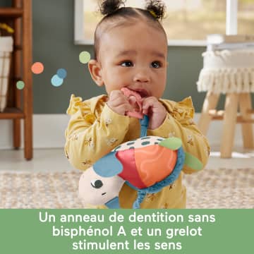 Fisher-Price – Honu, Ma Tortue De Mer À Suspendre