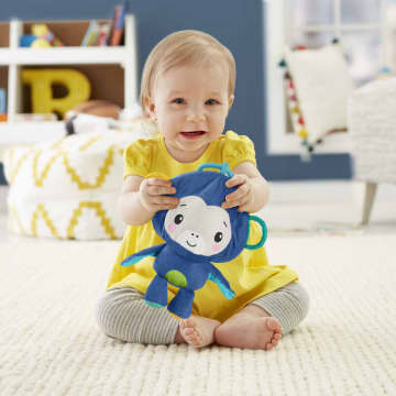 Fisher-Price Activity Monkey & Ball