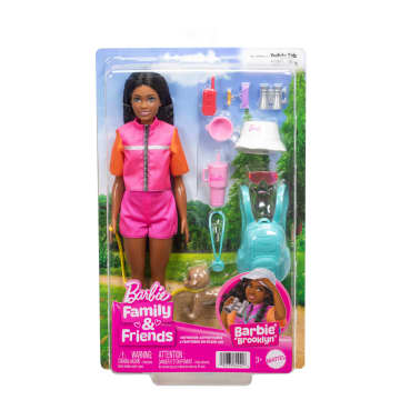 Barbie Poupée Dream Besties 'Brooklyn' et Accessoires | Mattel