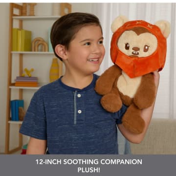 Star Wars Ewok Plush, Weighted Soft Toy, 12-Inch With Weighted Limbs & 1.5-Pound Take-Out Pouch