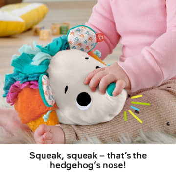 Fisher-Price Cuddle N' Snuggle Hedgehog Newborn Plush Sensory Toy - Imagen 3 de 6