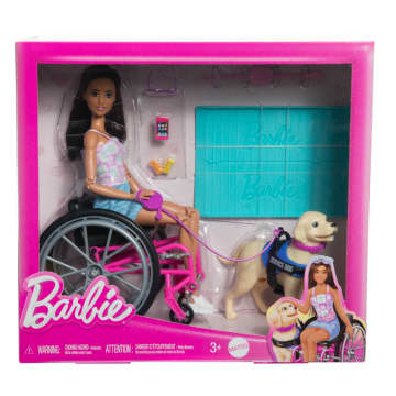 Barbie Doll & Service Dog Playset With Wheelchair, Ramp & Accessories, Brunette Fashion Doll