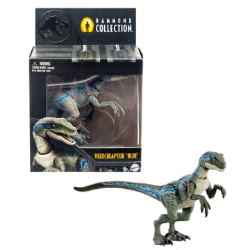 Jurassic World Dinossauro de Brinquedo Hammond Collection Velociraptor Blue