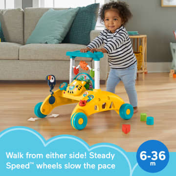 Fisher-Price 2-Sided Steady Speed Tiger Walker Electronic Learning Toy For Infant & Toddler - Image 2 of 6