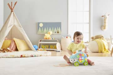 Fisher-Price Linkimals Hérisson Heureux Trieur de Formes