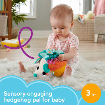 Fisher-Price Cuddle N' Snuggle Hedgehog Newborn Plush Sensory Toy - Imagen 2 de 6