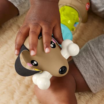 Fisher-Price Brinquedo para Bebês Cachorrinho Dachshund Atividades Divertidas - Imagen 4 de 6