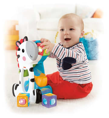 Fisher-Price Juguete para Bebés Cebra Bloques de Actividades