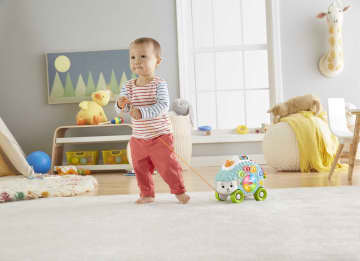 Fisher-Price Linkimals Hérisson Heureux Trieur de Formes