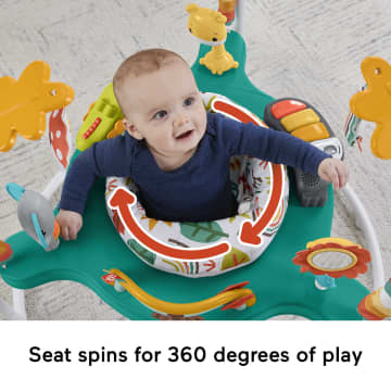 Fisher-Price Baby Bouncer Whimsical Forest Jumperoo Activity Center With Music And Lights