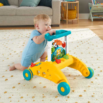Fisher-Price Andador para Bebês de Dois Lados Primeiros Passos