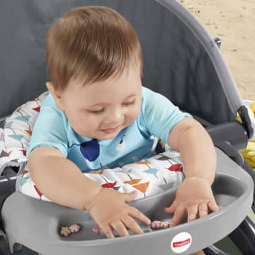 Fisher-Price Siège Jeu et Confort Portatif - Imagen 4 de 6