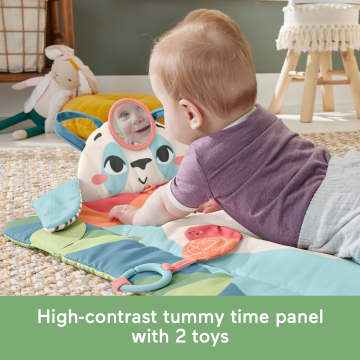 Fisher-Price Planet Friends Roly-Poly Panda Baby Activity Play Mat With 2 Toys