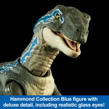 Jurassic World Hammond Collection Velociraptor Blue Dinosaur Figure Collectible Toy