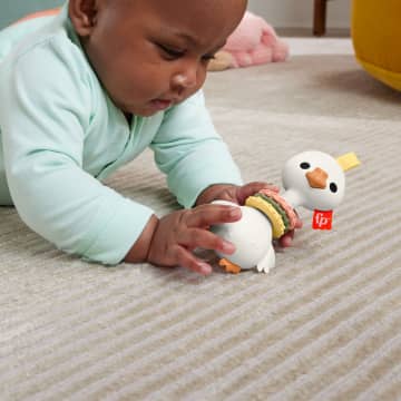 Fisher-Price®  Oie Sonore, Activité de Motricité Fine Pour Nouveau-Nés