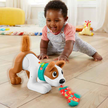 Fisher-Price Juguete para Bebés Cachorro Gatea Conmigo