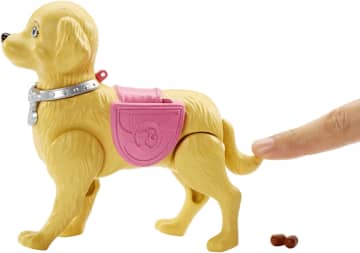Barbie Boneca Passeio com Cachorrinho