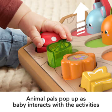 Fisher-Price Hide & Peek Pop-Up Infant Activity Toy
