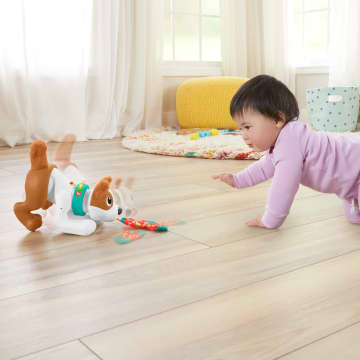 Fisher-Price Chiot Joue Avec Moi 123