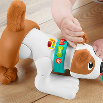 Fisher-Price Juguete para Bebés Cachorro Gatea Conmigo - Imagen 3 de 6