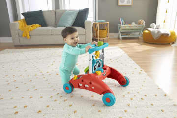 Fisher-Price Trotteur Steady Speed à 2 Côtés Version Anglaise et Française