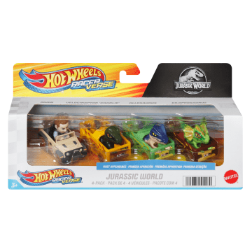 ホットウィール　RACER VERSE レーサーバース ホットウィール レーサーバース 2025 バック・トゥ・ザ